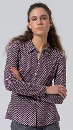 surkana-blouse-mauve
